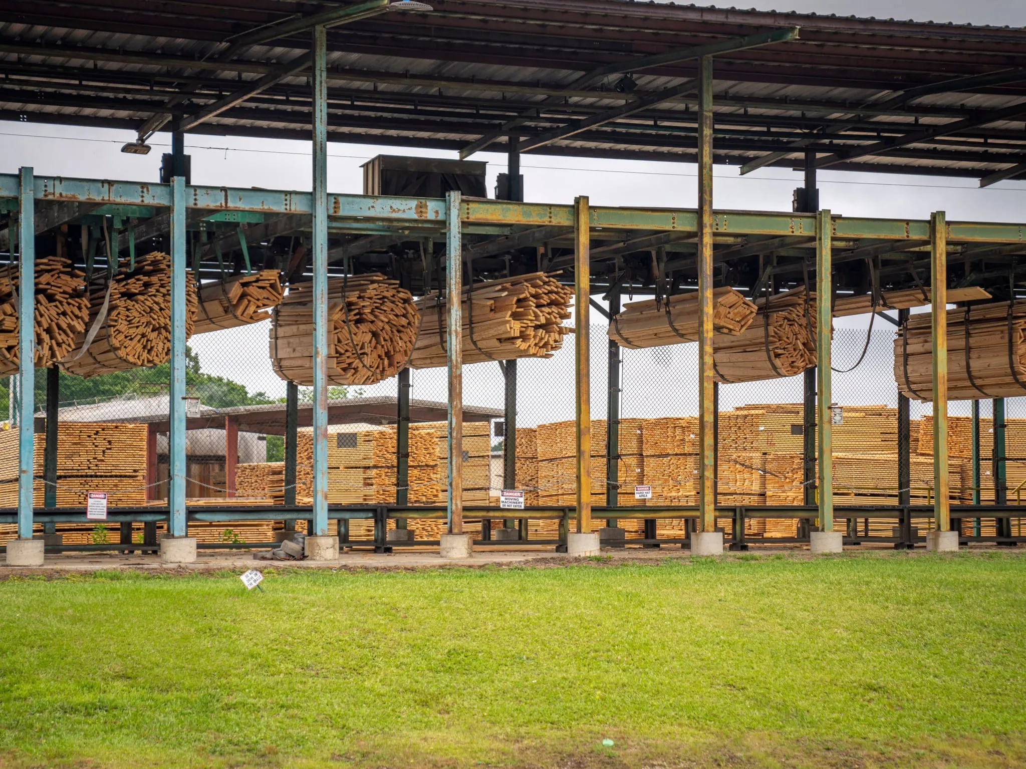 Wood